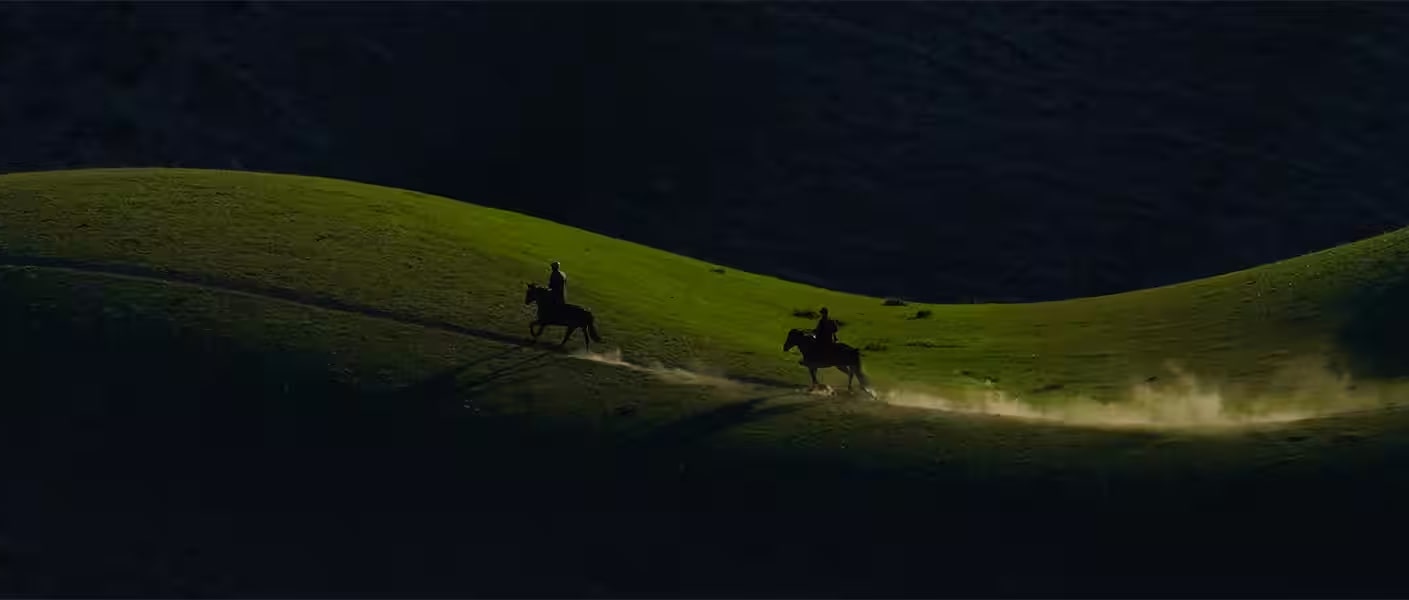 Sony A6600